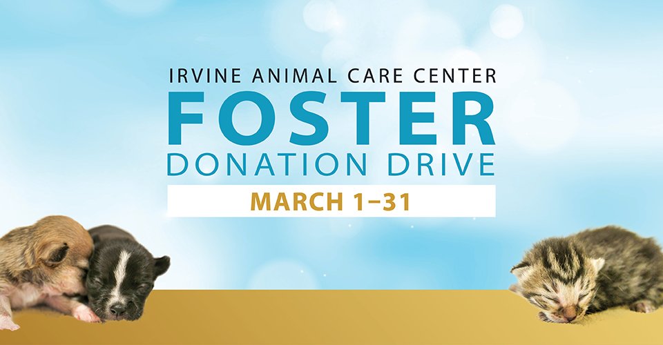 Irvine Animal Care Center Annual Foster Donation Drive Begins